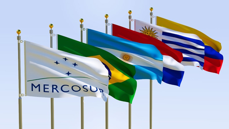 Регистрация медицинских изделий в Бразилии, Аргентине и других странах блока Mercosur